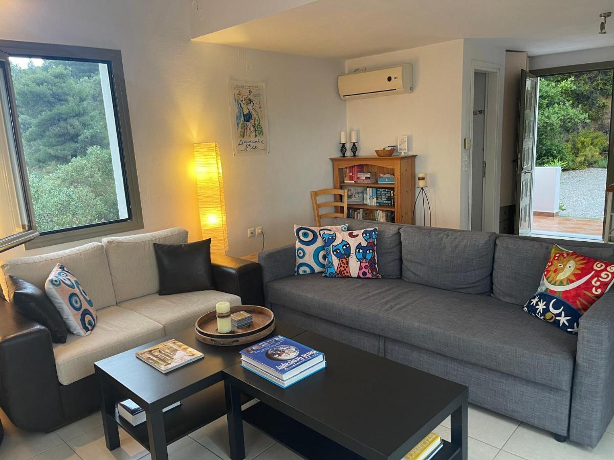 Skiathos Seaview Villa With Pool Punta ภายนอก รูปภาพ