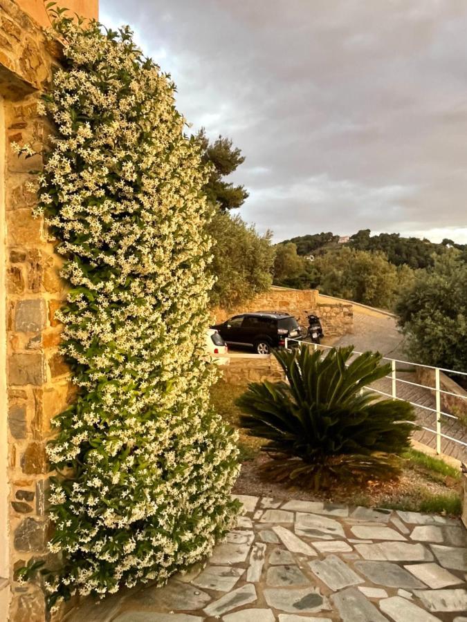 Skiathos Seaview Villa With Pool Punta ภายนอก รูปภาพ